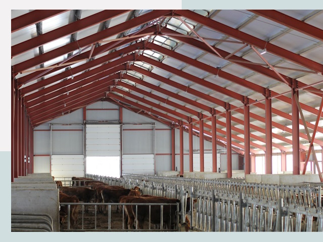 Строительство коровников в Пятигорске