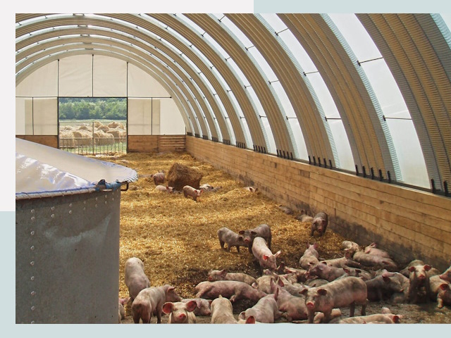 Строительство свинарников в Пятигорске