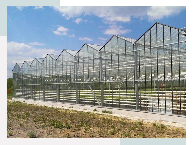 Строительство теплиц в Пятигорск от 616 руб. за м²